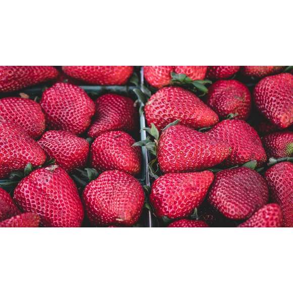 DO NOT BUY: Practical Fresh Bike - Picture 6 of 6